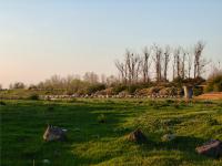 Imagine atasata: c7.jpg